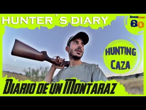 VIDEOS DE CAZA | CAZA de CODORNIZ en MEDIA VEDA #2 | QUAIL HUNTING with POINTING DOG | 2016