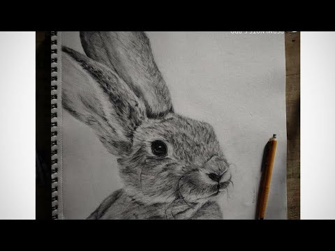 PART - l ,How to draw a realistic Rabbit : STEP - by...