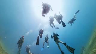 St. Thomas Underwater Adventure: Dive #2 with Royal Caribbean! 🌊🐠