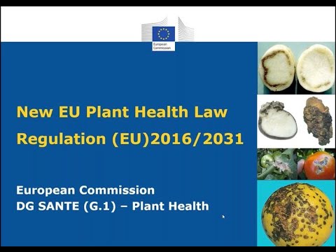 Navigating the EU Plant Health Regulation as GR collection holder in conservation and exchange of GR