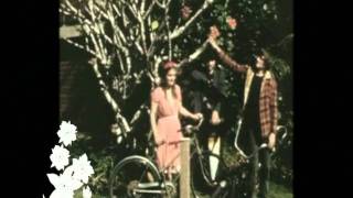 Angus &amp; Julia Stone - Mango Tree