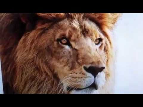 Apple OS X Lion: A first look