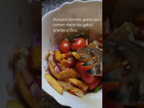 Durazno tomate queso azul, comen mejor los gatos gracias a Dios.