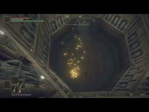 Leyndell elevator skip. Getting into Leyndell early.