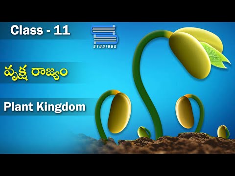 వృక్ష రాజ్యం | Plant Kingdom Characteristics and Classification | Biology