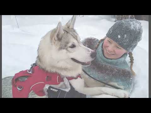 Ilonka Experience Farm  | Winter Time