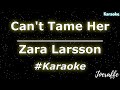 Zara Larsson - Can't Tame Her (Karaoke)