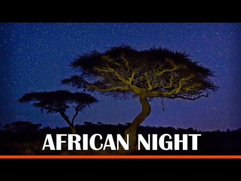 African Night - 10 Hours of Savanna night sounds from Africa. Listen to help relax sleep and study