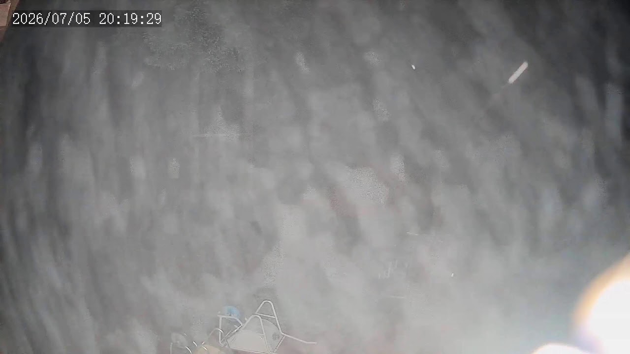 Live webcam view of Marunuma Kogen Tree Adventure