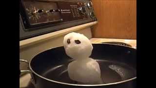 Time Lapse Video - Melting Snowman
