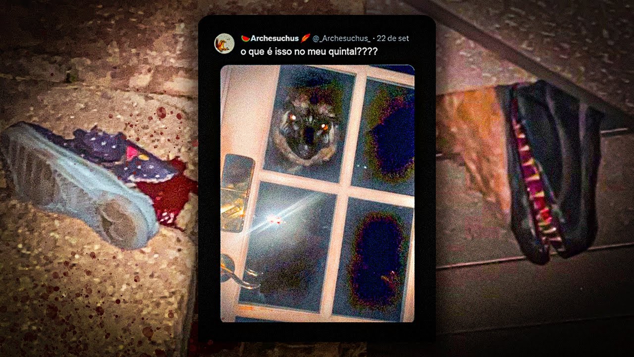 O QUE É ESSA COISA NO MEU QUINTAL?