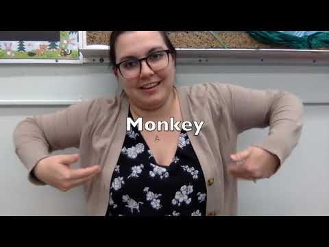 How to Sign Lizard, Snake in NZSL