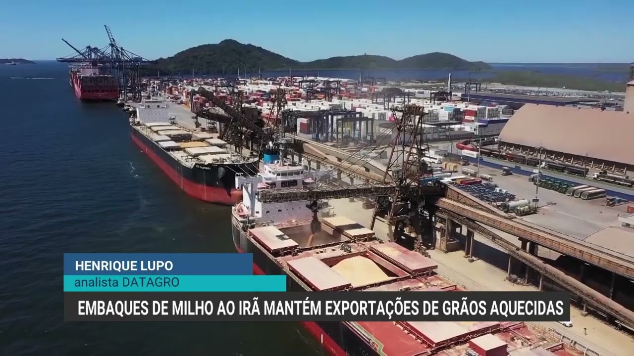 Exportações de milho para o Irã mantêm embarques de grãos aquecidos no Brasil
