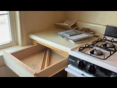 Kitchen Area of Apartment Belongs to the...