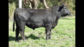 Lot 34