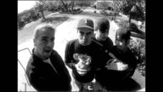 Fenix Tx - Phoebe Cates