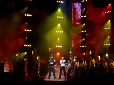 MICHAEL FLATLEY - Lord Of The Dance - Hell´s Kitchen (Vienna 24.11.2010)