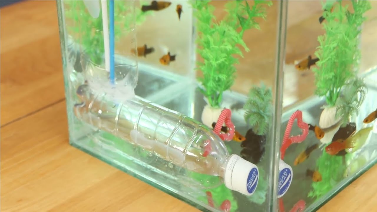 Como hacer acuario de vidrio con bomba de agua automática sin electricidad