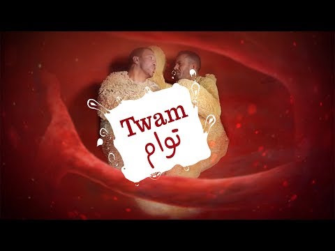 download lagu mp3 mp4 Twam, download lagu Twam gratis, unduh video klip Download Twam Mp3 dan Mp4 Viral Gratis