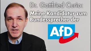Bewerbung zum Bundessprecher der AfD