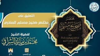 التعليق على مختصر صحيح مسلم  ( ١٧ ) image