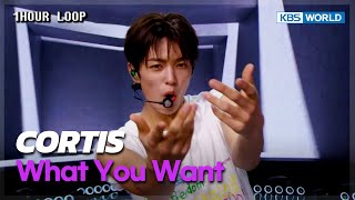 Download lagu [1HR LOOP🔥] CORTIS - What You Want [Music Bank] | KBS WORLD TV 250829 mp3