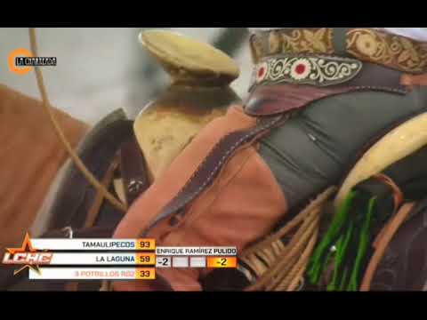 ENRIQUE RAMÍREZ PULIDO POTRILLOS RG2 DE SAN LUIS POTOSÍ PIAL 2...