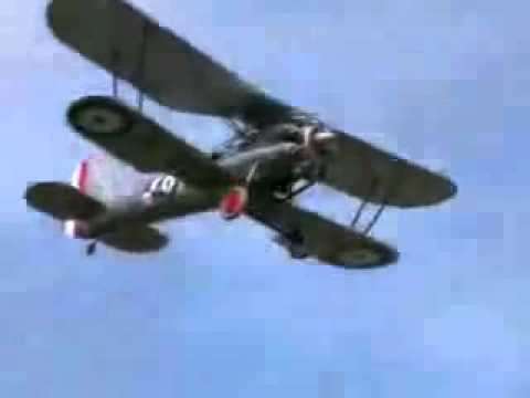 Bristol Bulldog in Action