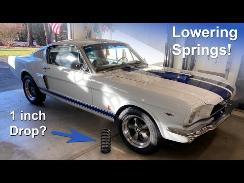 Will 1 inch lowering springs actually lower the Fastback?