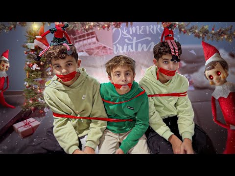 OUR ELVES ARE ALIVE!!!