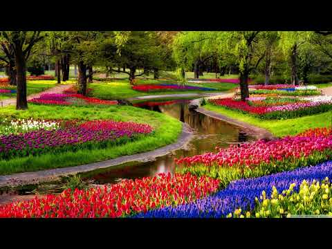 OrbisMundi - Sally Gardens