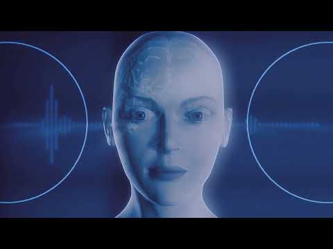 Anatomia da audição - Fonovim Fonoaudiologia Neurológica