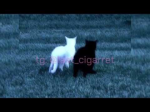 Lil Peep, rainy bear – nuts (ultra slowed x reverb)