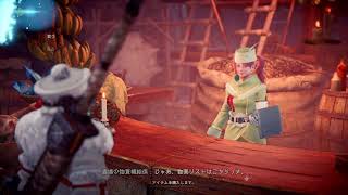 ［MHW：ＩＢ］ベリオ装備揃えたい