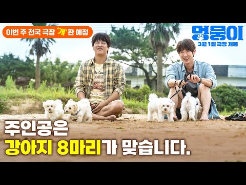 [멍뭉이] 30초 예고편