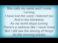 David Sylvian - The Shining Of Things Lyrics