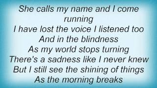 David Sylvian - The Shining Of Things Lyrics