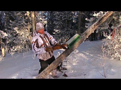 Trapping Pine Martin in Thick Timber - YouTube