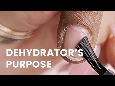 Dehydrator's Purpose | When To Use & Why | V Beauty Pure