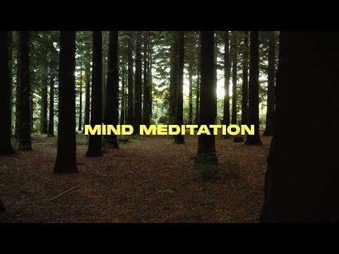 Paul Roux - Mind Meditation (Official Video)