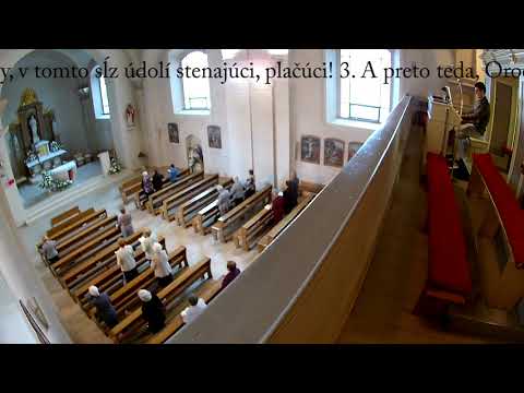 JKS 314 - Gegrüßet seist du, Königin (Salve Regina)