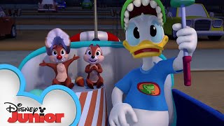 Nutty Movie Madness | Chip &#39;N Dale Nutty Tales  | Disney Junior