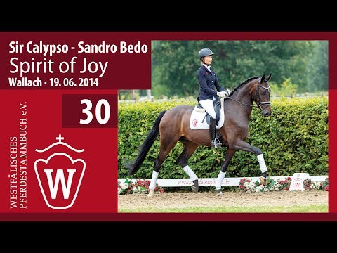 30 Spirit of Joy  Wallch v. Sir Calypso - Sandro Bedo