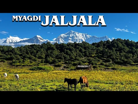 JALJALA MYAGDI  || Oldest Treking Route In West Dhaulagiri Circuit |Dhorpatan Nepal #jaljala