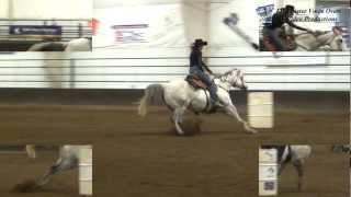 preview picture of video 'Kayleen Erickson & Quiet Blue Fox - Arena Record Setting Run - TS Productions event at R & J Arena'