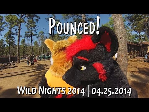 Wild Nights: Pounced!