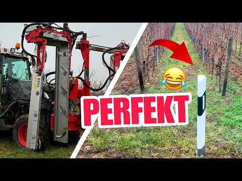 Mysteriöse EISKRISTALLE ❄️🤔 BEHEIZBARE Brotdose ♨️😂