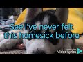 I'v Never Been This Homesick Before, Paul Williams lyric video