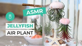 ASMR | DIY JELLYFISH AIR PLANT | SUMMER DIY