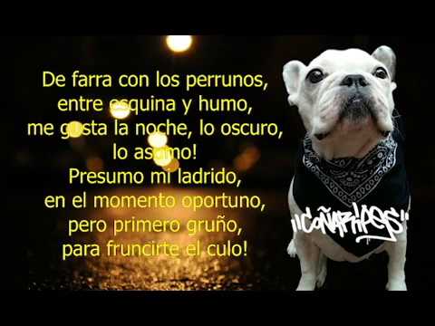 Coñaripes - Perroz (video lyrics)